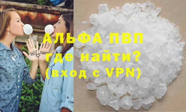 прущие грибы Абинск