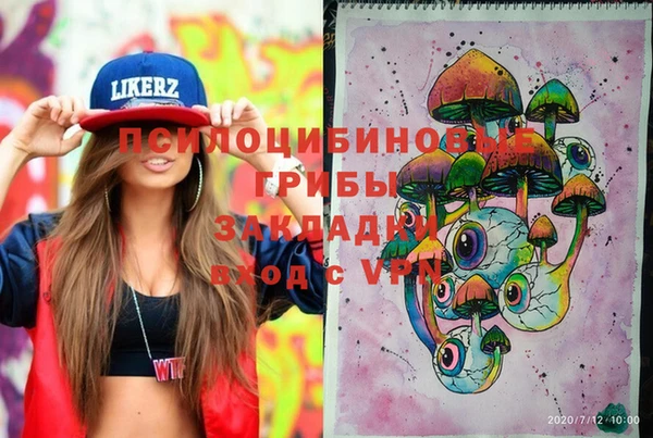 прущие грибы Абинск