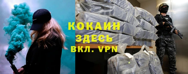 прущие грибы Абинск